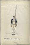 Reg. Waalsche Infanterie  R. W. 1793-1795