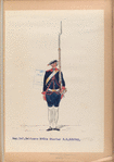 Reg. Inf. Zwitsers No. 3 de Sturler  R. Z. N3. 1752-1795