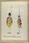 Infanterie Reg. No. 24 Halkett  R. S. 2. 1772-1795