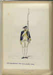 Inf. Reg. Waldeck No. 1 R. F. v. W. No. 1. 1761-1795