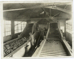 Head of Picking Table in a Tipple.