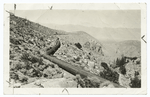 A California Pipe Line.