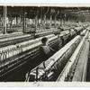 Spinning Room in a Cotton Mill.