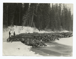 Logs on a River Bank.