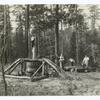 Snaking" Logs with Mule and Capstan, South Carolina.