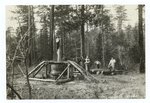 Snaking" Logs with Mule and Capstan, South Carolina.