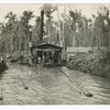 Pull Boat in a Louisiana Cypress Swamp.