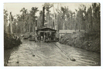 Pull Boat in a Louisiana Cypress Swamp.