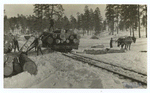 Logging in the Rockies.