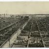 A View of the Chicago Stockyards.