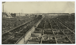 A View of the Chicago Stockyards.