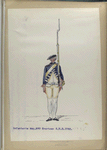 Infanterie Reg. No. 3 Evertsen  R.N.3 1752-1795