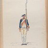 Infanterie Reg. No. 6  van Welderen  R.N.6  QU87.  [1752-1795]
