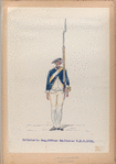 Infanterie Reg. No. 9 van Rechteren  R. N. 9.   1752-1795