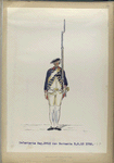 Infanterie Reg. No.13 van Burmania  R. N. 13.   1752-1795