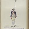 Infanterie Reg. No.17  van Acronius  R. N. 17.  1752-1795