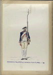 Infanterie Reg. No.17  van Acronius  R. N. 17.  1752-1795