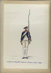 Infanterie Reg. No. 5  Holstein Gottorp  R.N.5. 1752-1795