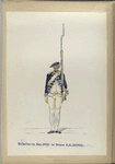 Infanterie Reg. No. 10  de Brauw R.N.10. 1763-1795