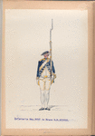 Infanterie Reg. No. 10  de Brauw R.N.10. 1763-1795