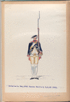 Infanterie Reg. No. 20  Nassau Weiburg  R.N.20. 1763-1795