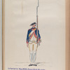 Infanterie Reg. No. 16   Ruysch  R. N. 16. Quyo