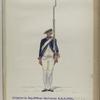 Infanterie Reg. No. 9  van Rechteren  R. N. 9. 1768-1795