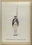 Infanterie Reg. No. 15  van Holsten  R. N. 15.  1768-1795