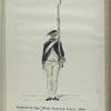 Infanterie Reg. No. 7  van Freyberg  R. N. 7.  1769-1795