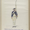 Infanterie Reg. No. 7  van Freyberg  R. N. 7.  1769-1795