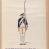 Infanterie Reg. No. 19  Douglas Mariniers. R. N. 19. 1773-1795