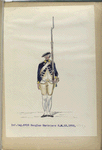 Infanterie Reg. No. 19  Douglas Mariniers. R. N. 19. 1773-1795