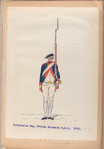 Infanterie Reg. No. 1  van Burmania  R. N. 1. 1773-1795