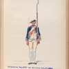 Infanterie Reg. No. 17  van Acronius  R. N. 17. 1775-1795