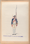 Infanterie Reg. No. 17  van Acronius  R. N. 17. 1775-1795