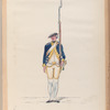 Infanterie Reg. No. 18  Aerssen van Sommelsdyck  R. N. 18. 1775-1795