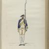 Infanterie Reg.  No.19 Douglas Mariniers   R. N. 19.   1777-1795