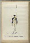 Infanterie Reg.  No. 7  van Hardenbroek  R. N. 7.  1779-1795