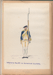 Infanterie Reg.  No. 7  van Hardenbroek  R. N. 7.  1779-1795