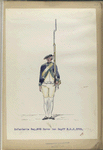 Infanterie Reg.  No. 3  Baron den Dopff  R. N. 3.  1779-1795