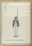 Infanterie Reg.  No. 3 den Dopff   R. N. 3.  1781-1795