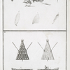 1. Sainte Sauterelle des Turcs en Égypte. [...]; 2. Radeau des cruches callabasses, dont on sert pour la pêche. [...]