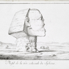 Profil de la tête colossale du Sphinx.