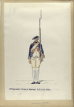 3-o Regiment Oranje Nassau  R. O. N. 3. 1752-1795