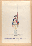 3-o Regiment Oranje Nassau  R. O. N. 3. 1752-1795