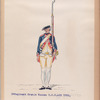3-o Regiment Oranje Nassau  R.O.N. no.3. 1760-1795