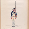 Garde Friesland. 1780-1795