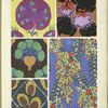 Five plant form designs