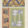 Tulipes