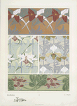 Orchidées